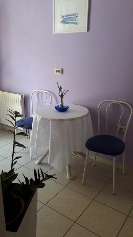 Guesthouse Ivan スクラーディン エクステリア 写真
