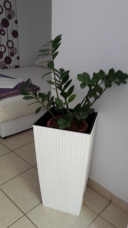 Guesthouse Ivan スクラーディン エクステリア 写真